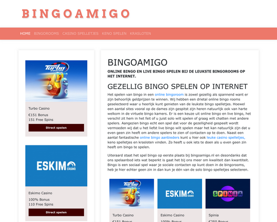 Bingo Amigo Logo