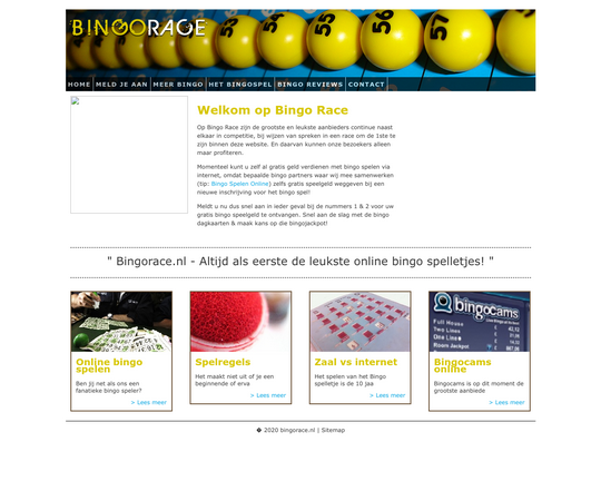 Bingo Race Logo